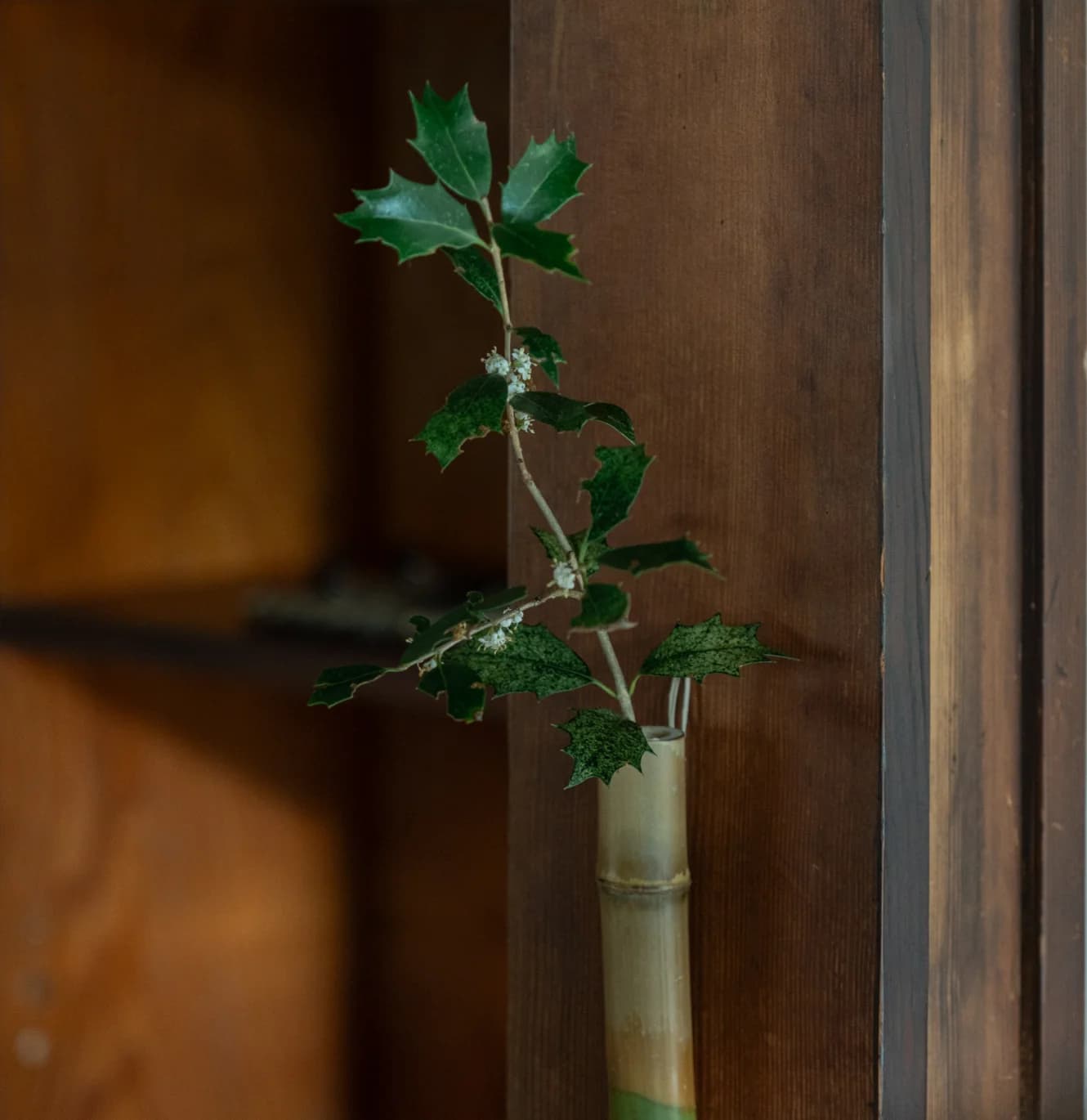 Green leafy branch with white berries arranged in slender bamboo vase