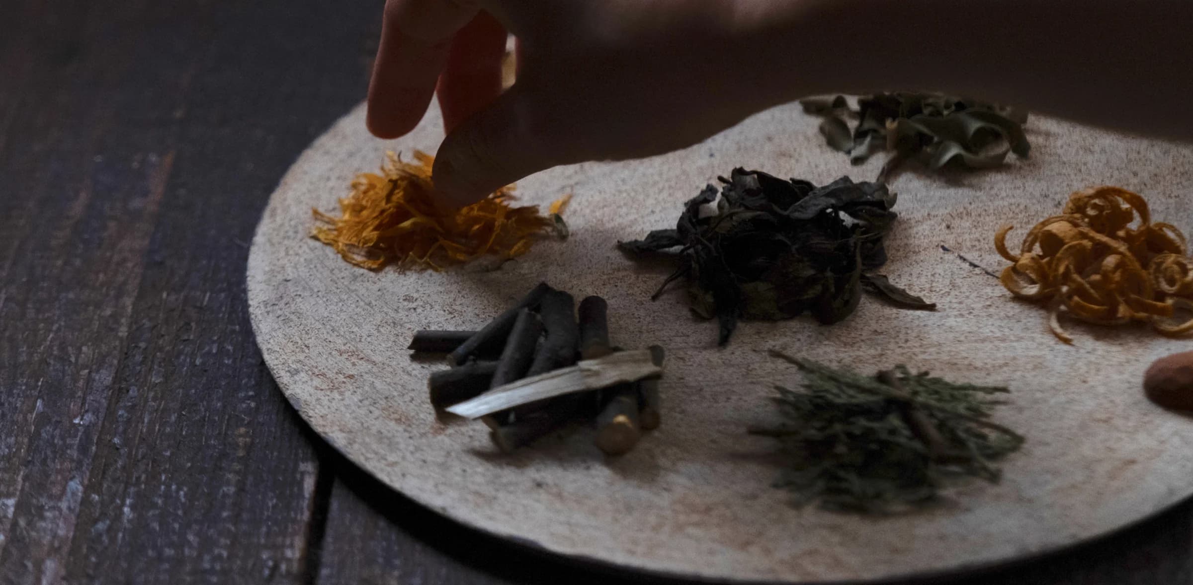 Close up of a hand arranging flowers