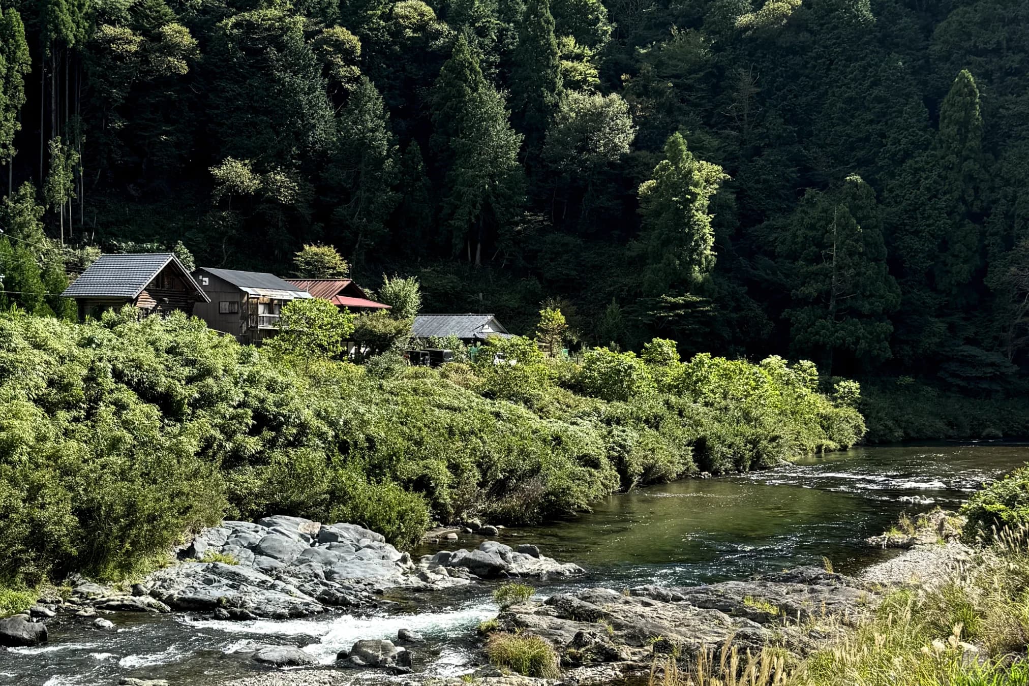 Houses in a forest by a river