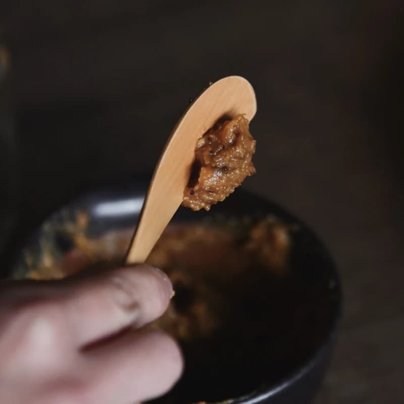 Spoon with fermented miso