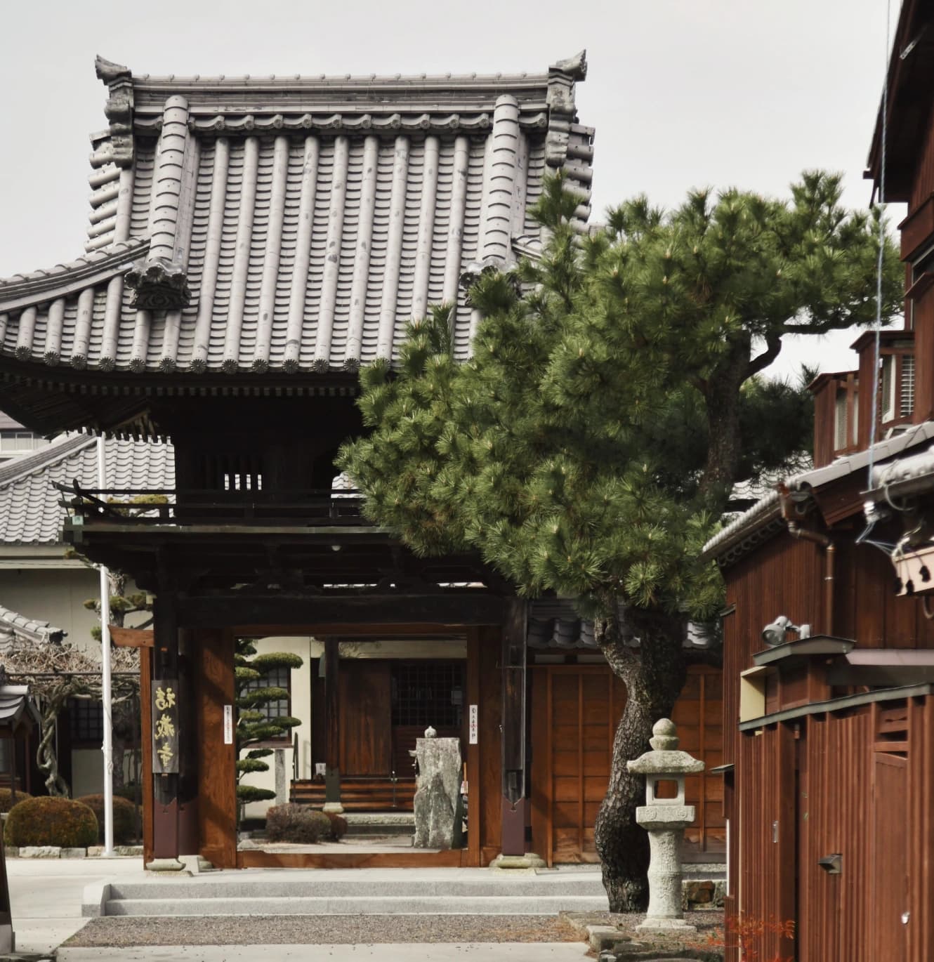 Traditional garden view through window
