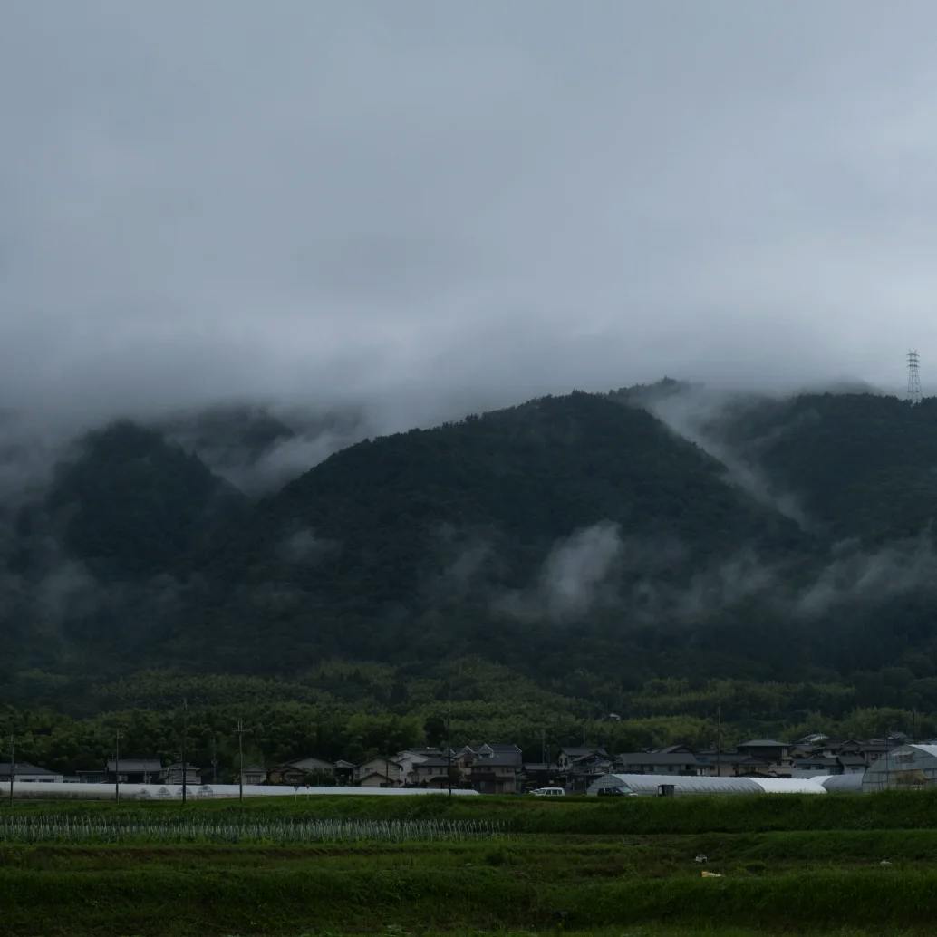 Oharano landscape