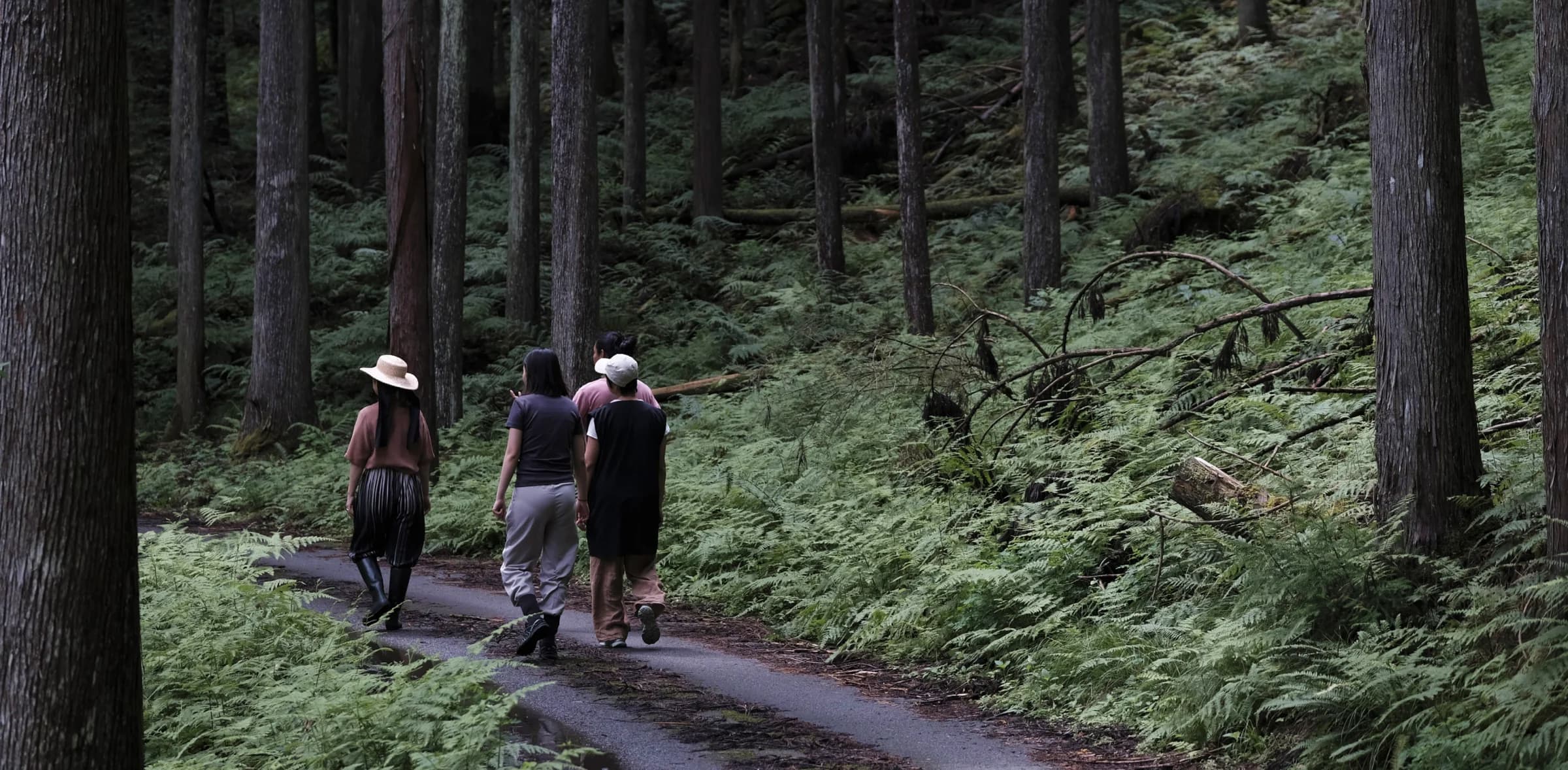 Four people walking in a forest