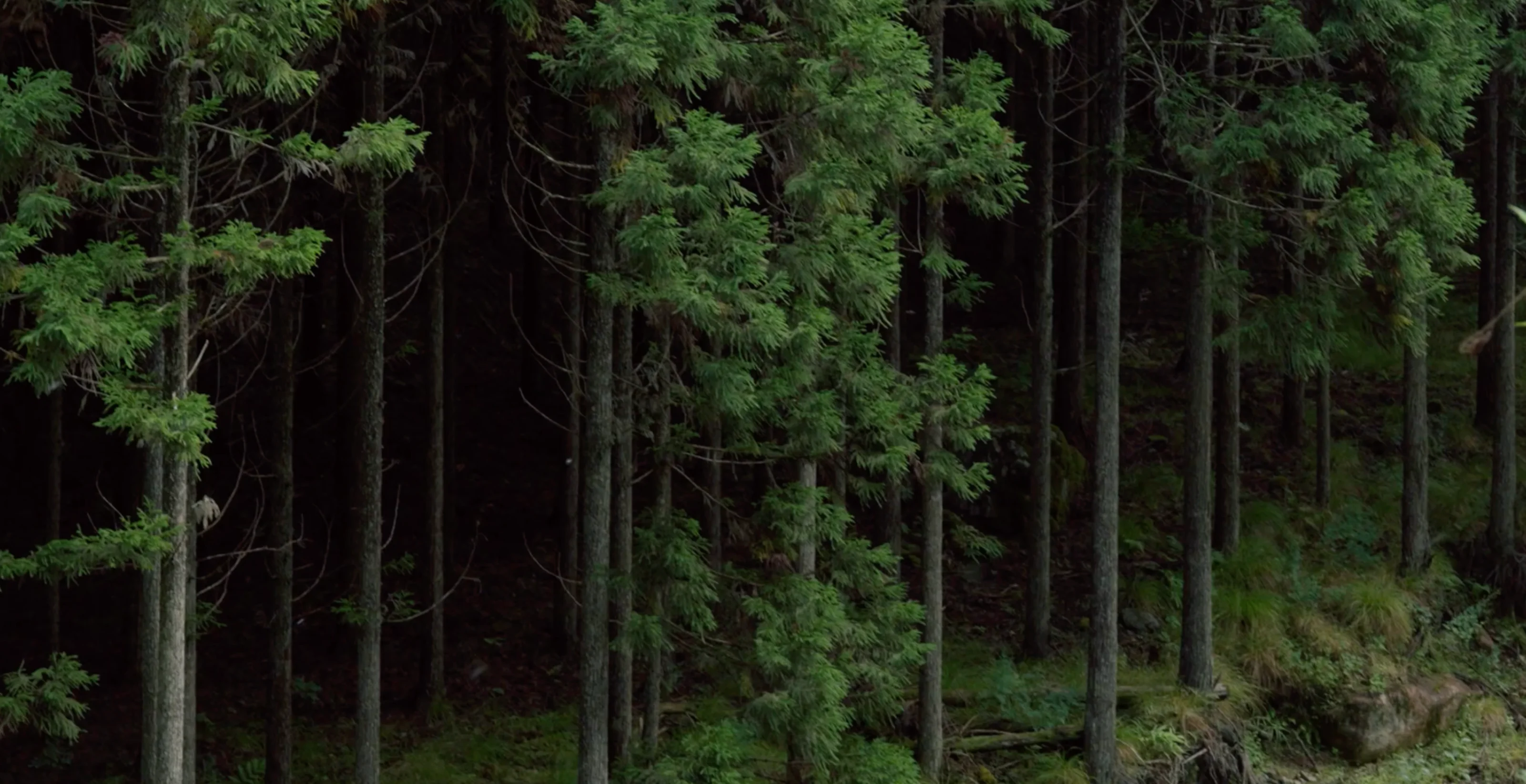 Image 7 of 10 in carousel.